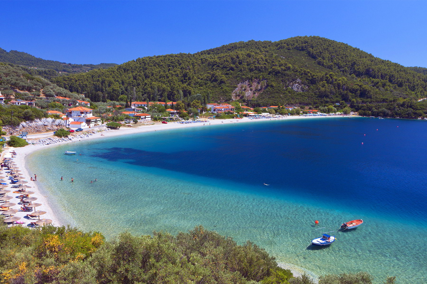 Super Reducere Early Booking Sejur Individual Grecia - Skopelos Hotel Dolphin 2* Mai 5 nopti de la doar 159 Euro/persoana!